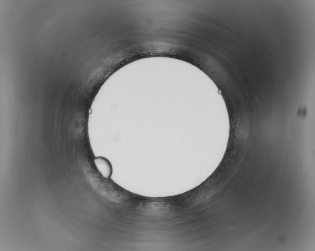 X0000112140546200909181401