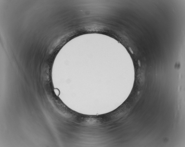 X0000112140547200909181401