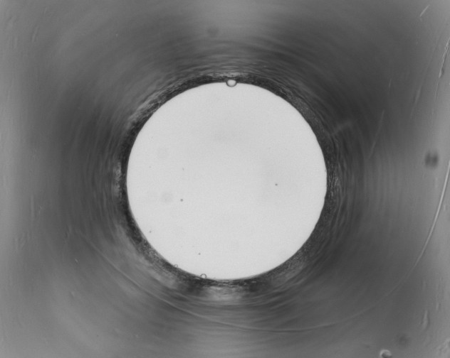 X0000112140556200909181401