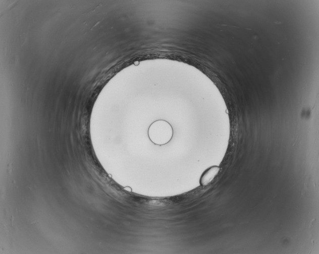 X0000112140566200909181401