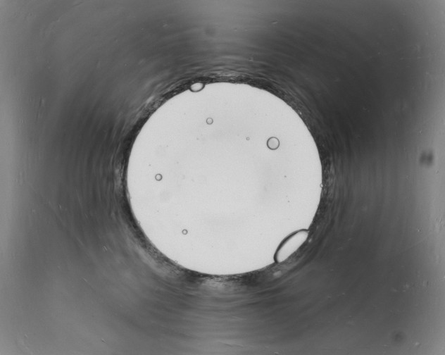 X0000112140568200909181401