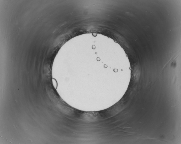 X0000112140571200909181401