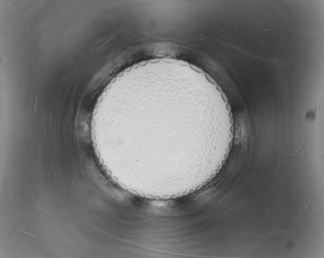 X0000112140573200909181401