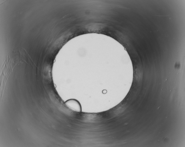 X0000112140575200909181401