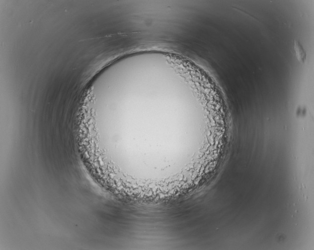 X0000112140577200909181400