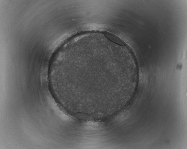 X0000112140581200909181400