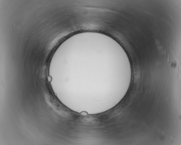 X0000112140583200909181400