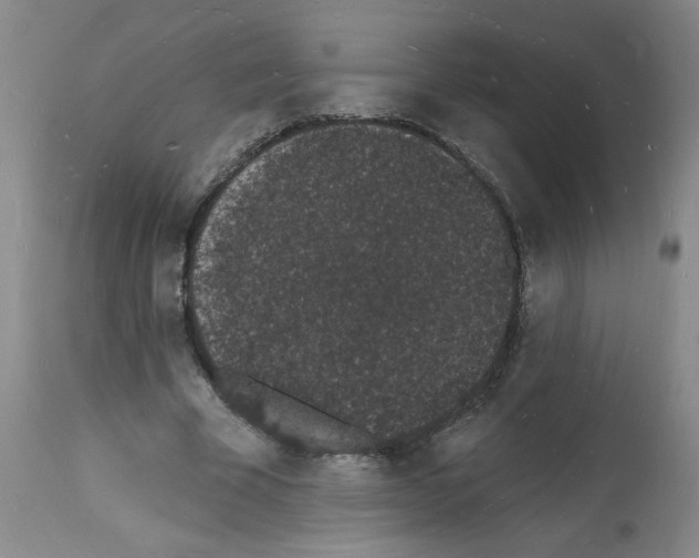 X0000112140585200909181400