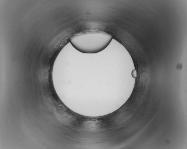 X0000112140595200909181400