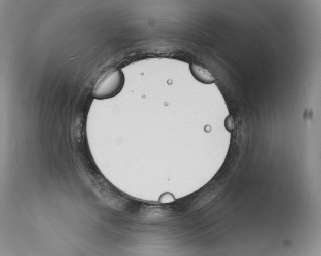 X0000112140597200909181400