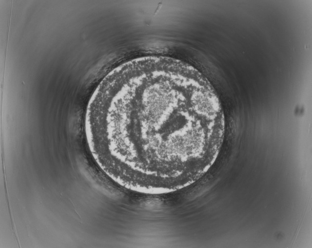 X0000112140600200909181400