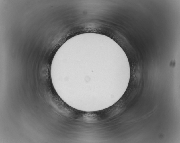 X0000112140603200909181400