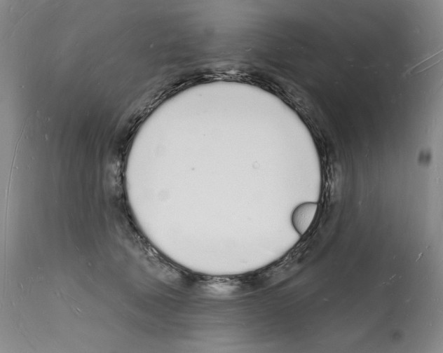 X0000112140610200909181400