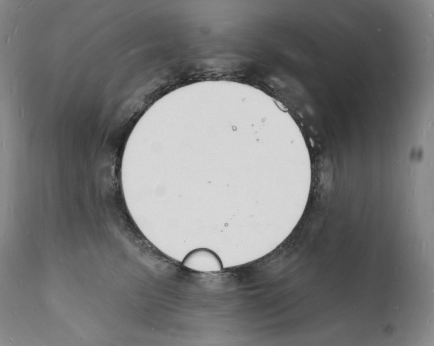 X0000112140615200909181400