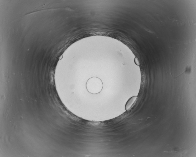 X0000112140621200909181400