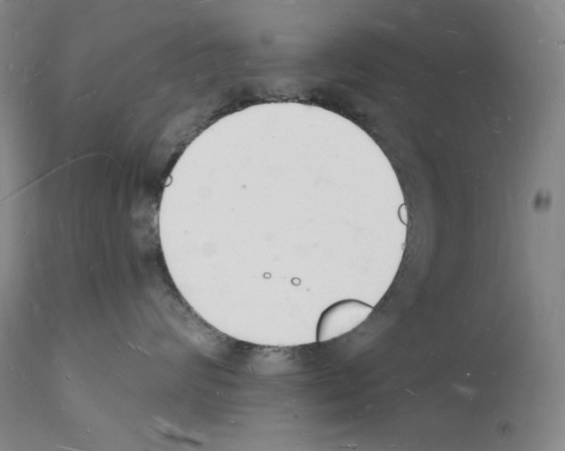 X0000112140624200909181359