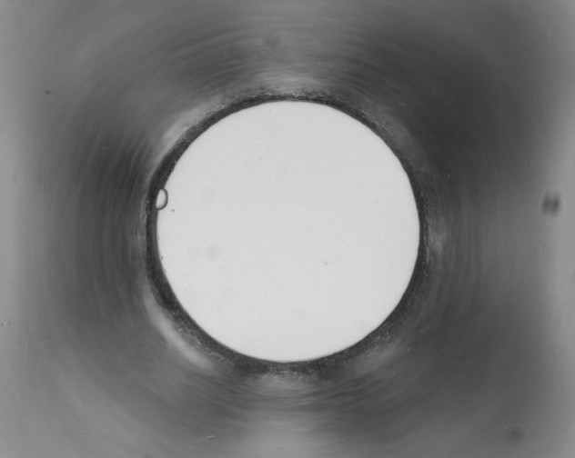 X0000112140630200909181359