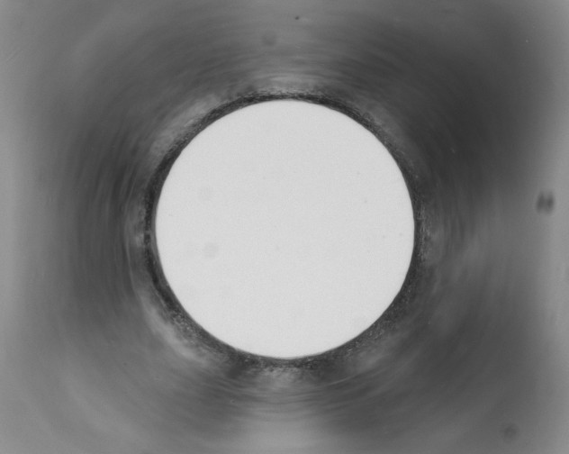 X0000112140631200909181359