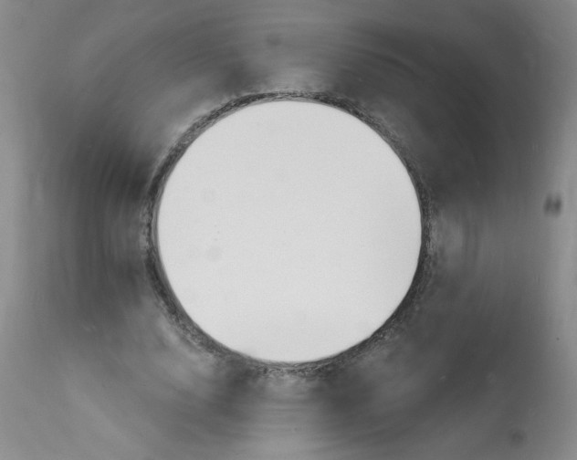 X0000112140632200909181359