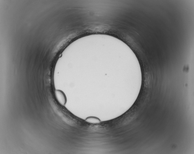 X0000112140634200909181359