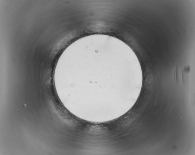 X0000112140635200909181359