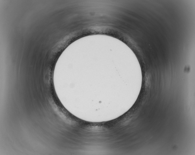 X0000112140637200909181359