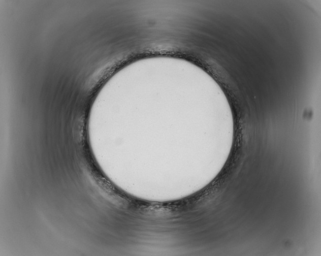 X0000112140640200909181359