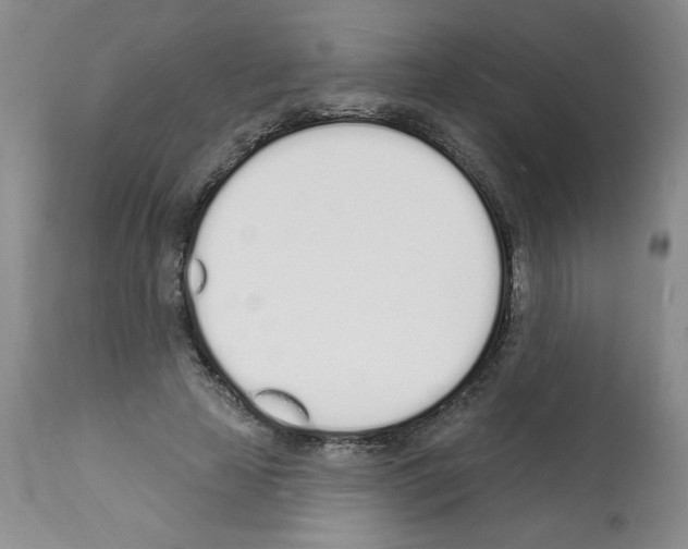 X0000112140641200909181359