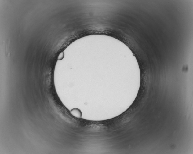 X0000112140642200909181359