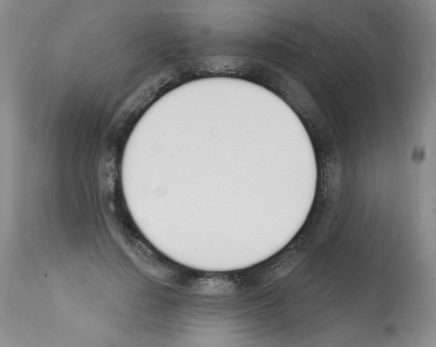 X0000112140644200909181359