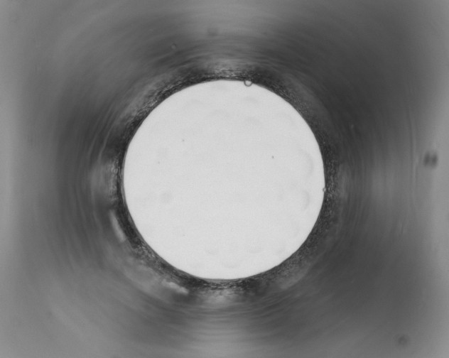 X0000112140646200909181359