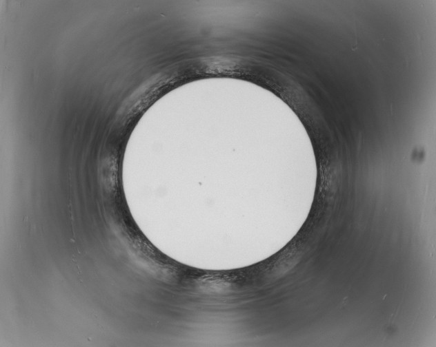 X0000112140648200909181359