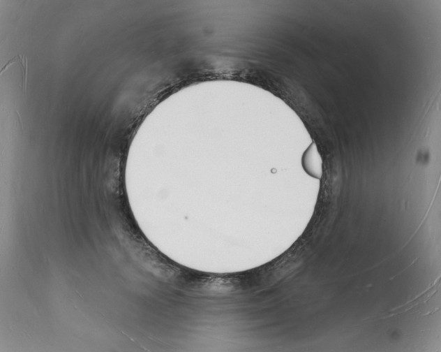 X0000112140656200909181359