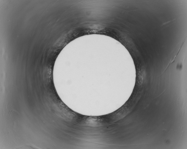 X0000112140657200909181359