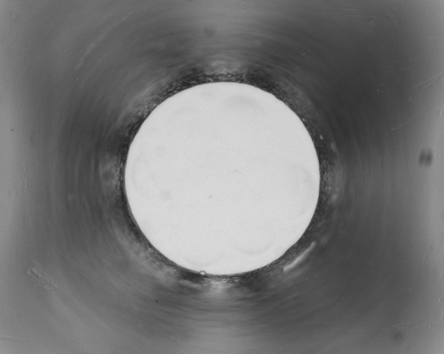 X0000112140662200909181359