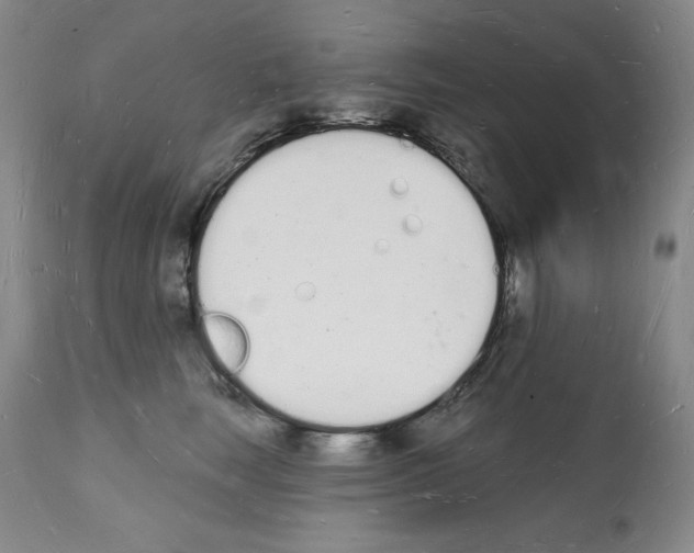 X0000112140663200909181359