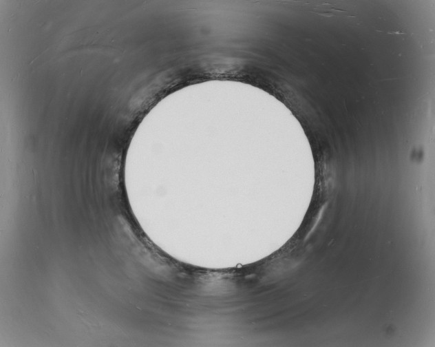 X0000112140664200909181359