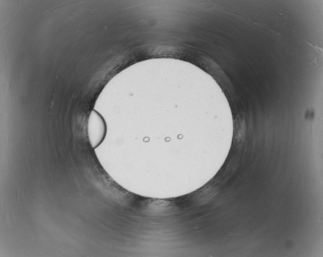 X0000112140669200909181359