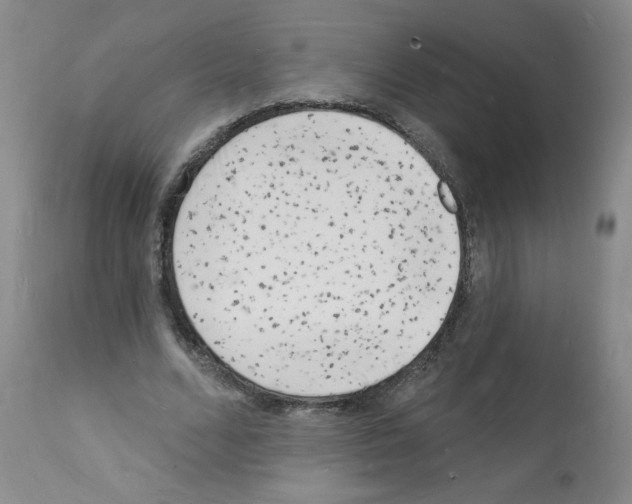 X0000112140680200909181359