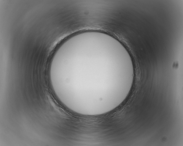 X0000112140684200909181359