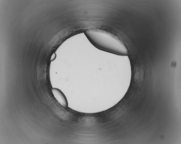 X0000112140685200909181359