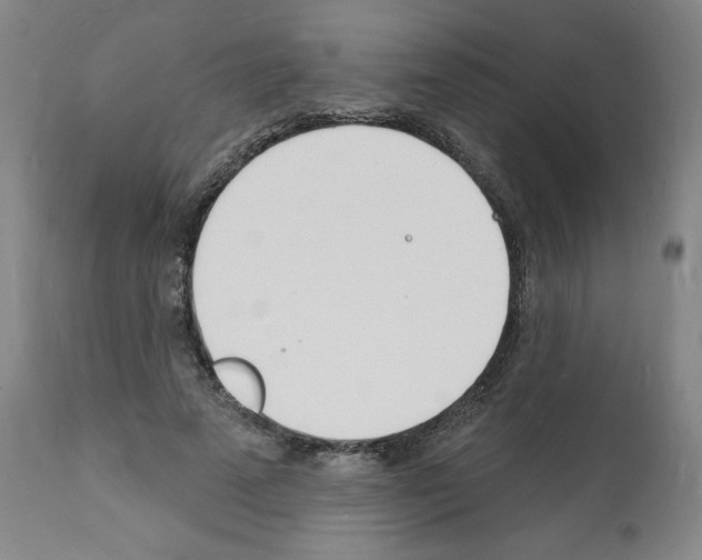 X0000112140689200909181359