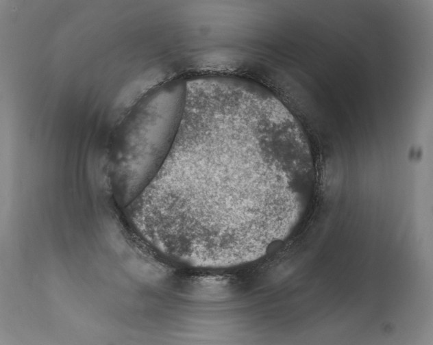 X0000112140692200909181359