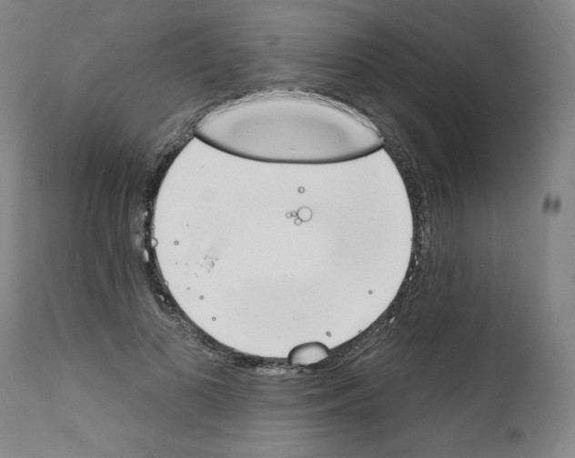 X0000112140693200909181359