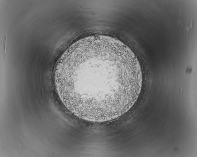 X0000112140696200909181358