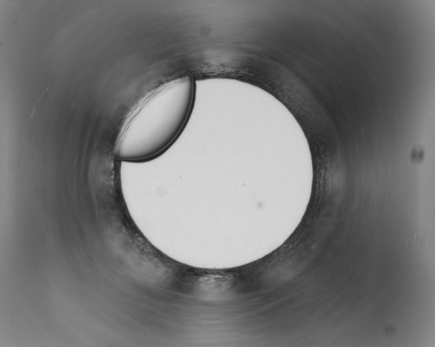 X0000112140700200909181358