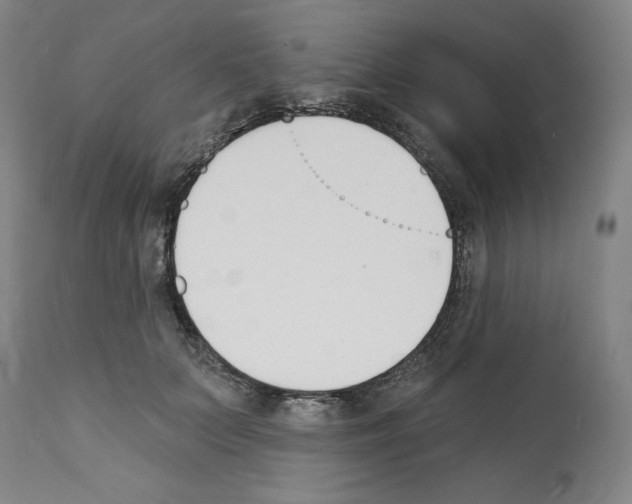 X0000112140703200909181358