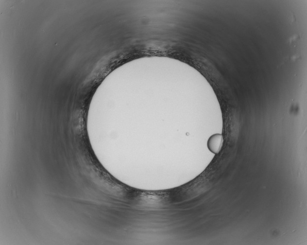 X0000112140706200909181358