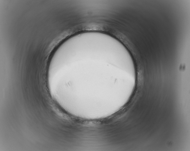 X0000112140721200909181358