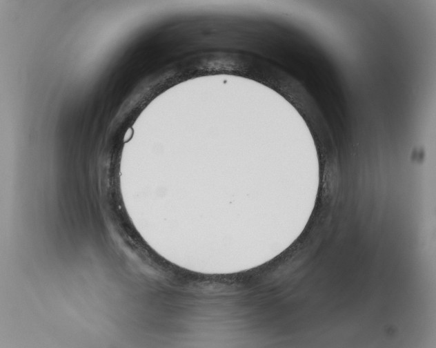 X0000112140722200909181358